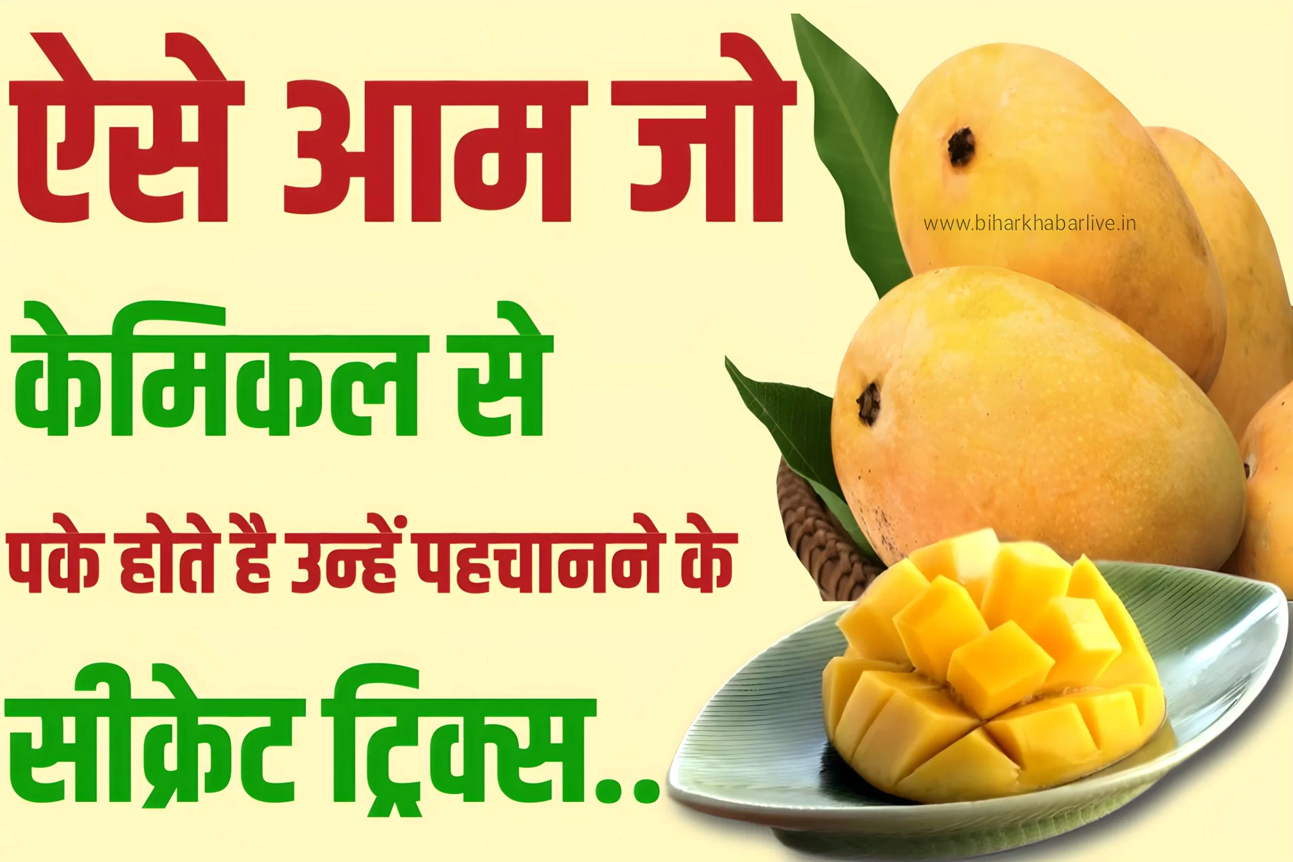 Chemical Ripened Mango